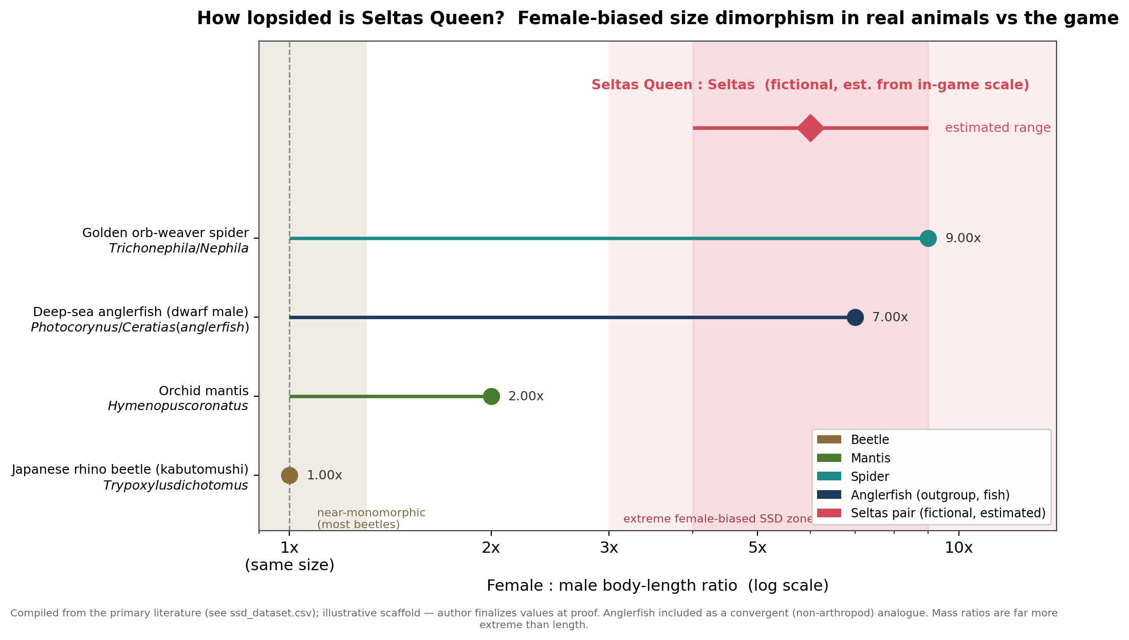 How lopsided is Seltas Queen? Female:male body-length ratio across real animals — beetles near 1x, the orchid mantis ~2x, spiders ~9x and deep-sea anglerfish ~7x, with Seltas Queen's estimate landing in the extreme zone.