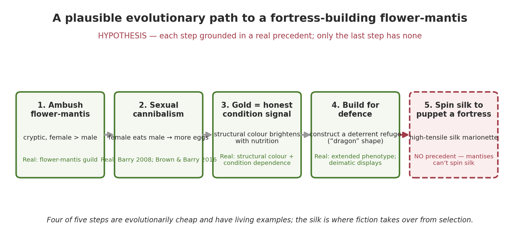 A plausible five-step evolutionary path to a fortress-building flower-mantis, each step labeled by its real precedent and the final silk step flagged as the break from biology.