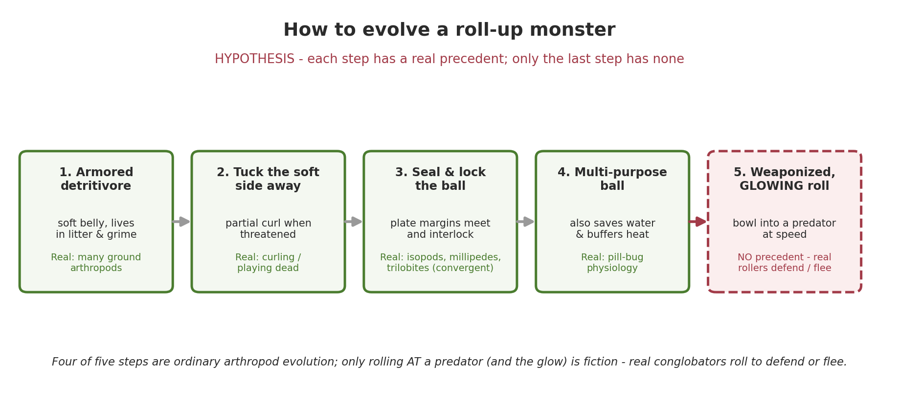 Five-step evolutionary scenario from an armored soft-bellied detritivore through partial curl, sealed locking ball, and multifunction microclimate, with the final weaponized glowing offensive roll flagged as the break from biology.