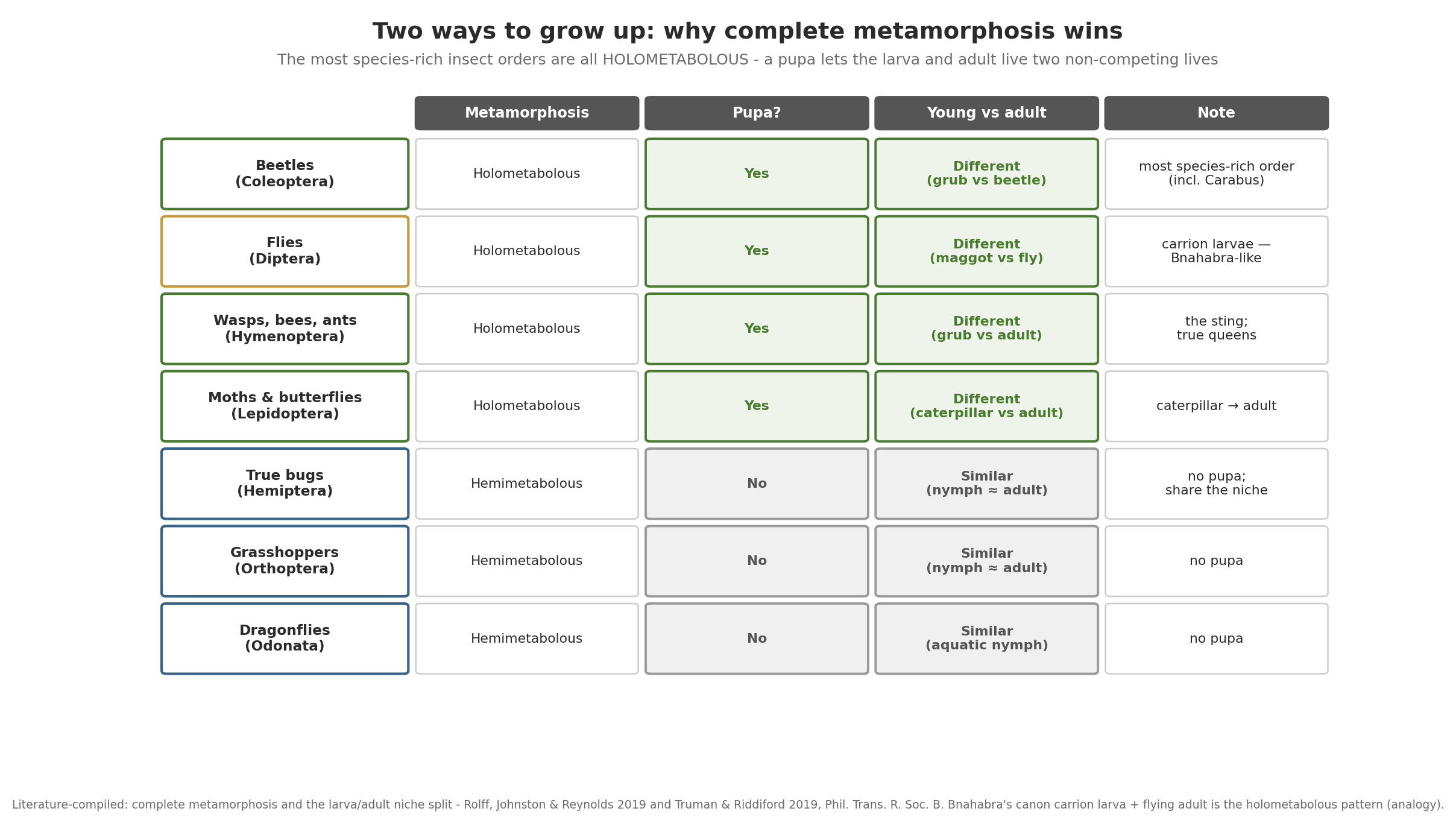 Comparison table: complete metamorphosis (holometaboly) with a pupa and larva-vs-adult niche separation, versus incomplete metamorphosis (hemimetaboly) with no pupa and a nymph that competes with the adult; the most species-rich insect orders are all holometabolous.